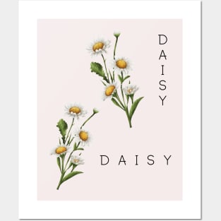 Daisy Posters and Art